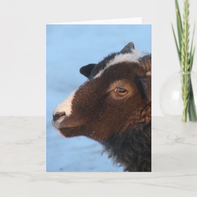 Tarjeta Difícil (Anverso)