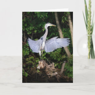 Tarjeta Difundir tus alas