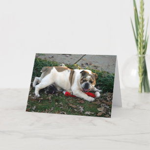 Tarjeta ¡Diga la misericordia!