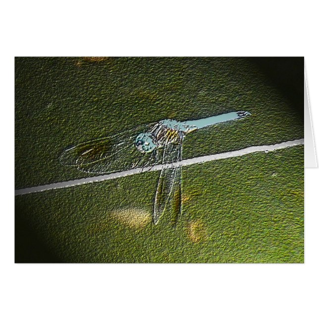 Tarjeta Digital Dragonfly (Anverso (Horizontal))