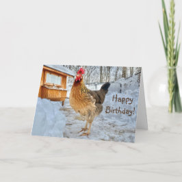 Tarjeta Dignificado cumpleaños feliz de pollo