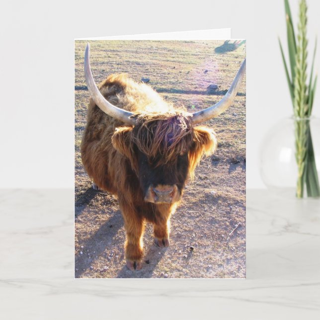 Tarjeta ¿Dijiste el Día del Pelo Malo? (Anverso)