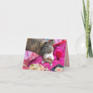 Tarjeta Dilema de la princesa Tatus Cat