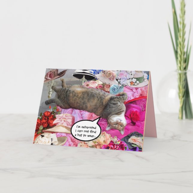 Tarjeta Dilema del gato de la princesa Tatus (Anverso)