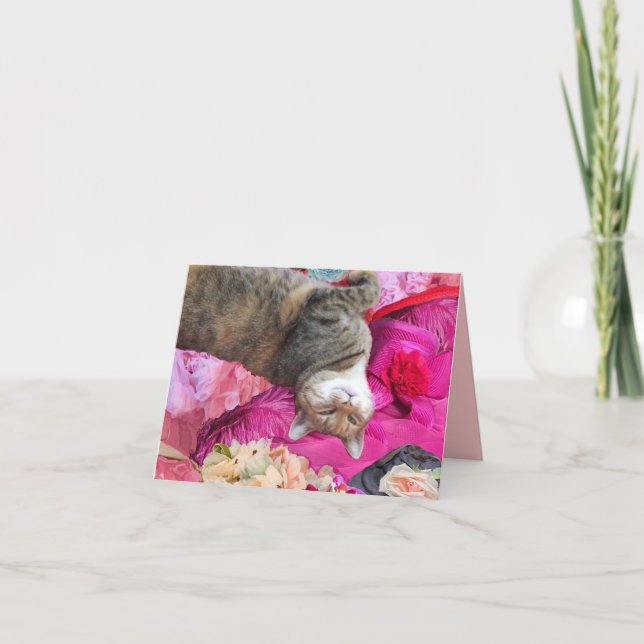 Tarjeta Dilema del gato de la princesa Tatus (Anverso)