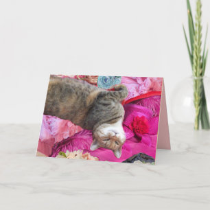 Tarjeta Dilema del gato de la princesa Tatus