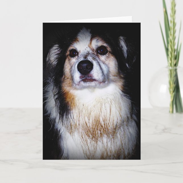 Tarjeta Dirty Digger Doggie (Anverso)