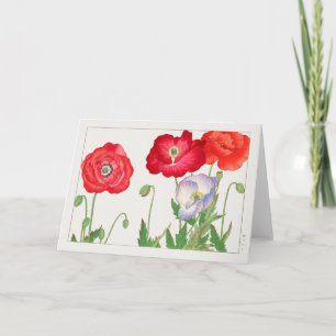 Tarjeta Discoteca de Tanigami Konan