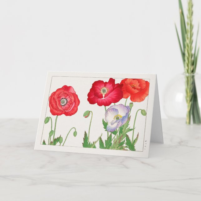 Tarjeta Discoteca de Tanigami Konan (Anverso)