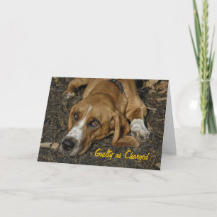 Tarjeta Disculpa de Mable del perro del rescate de Basset