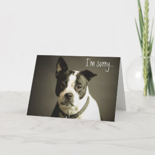 Tarjeta Disculpa de perro triste editable
