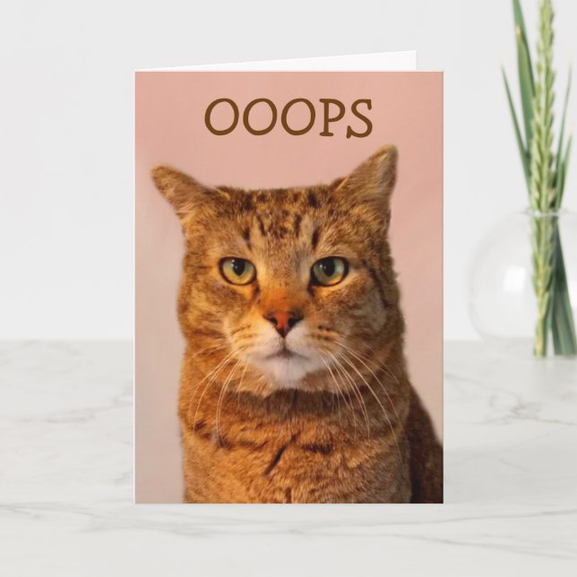 Tarjeta Disculpa por gato (Anverso)