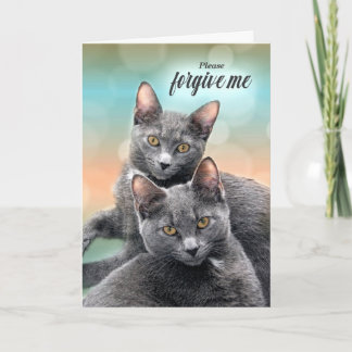 Tarjeta Disculpas para el gato que ama dos gays