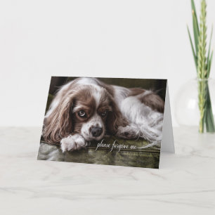 Tarjeta Disculpas, siento pena por ser perro de Cocker Spa