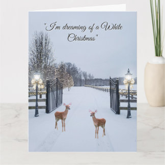 Tarjeta Diseño de escena serena de nieve elegante