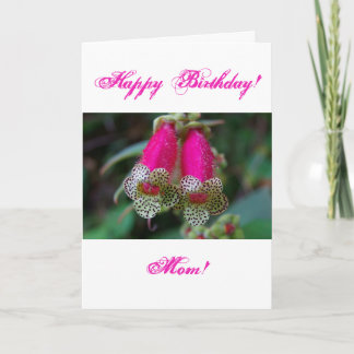 Tarjeta Diseño de flores leopardo