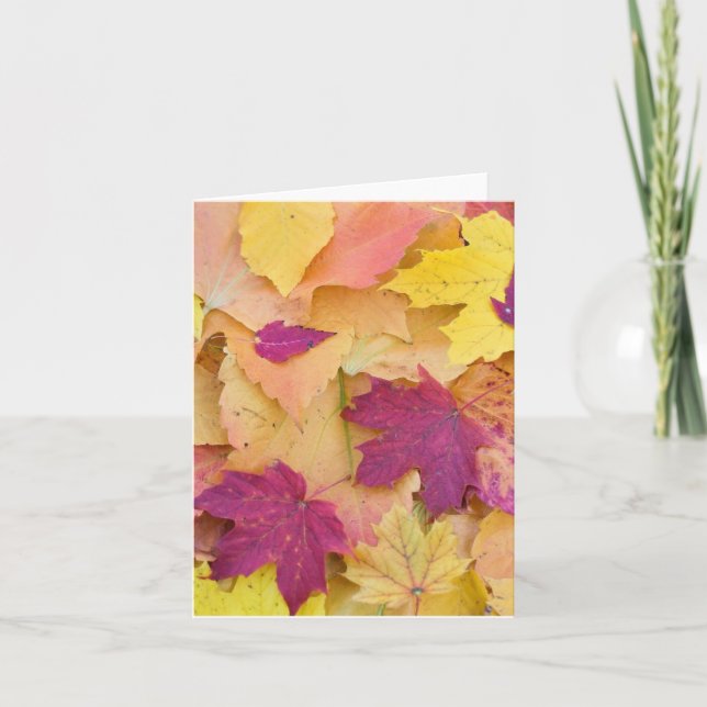 Tarjeta Diseño de Hojas de Otoño (Anverso)