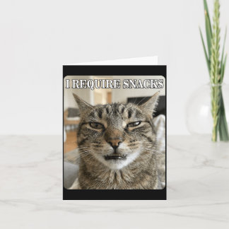 Tarjeta Diseño de hombre divertido meme de gato divertido 