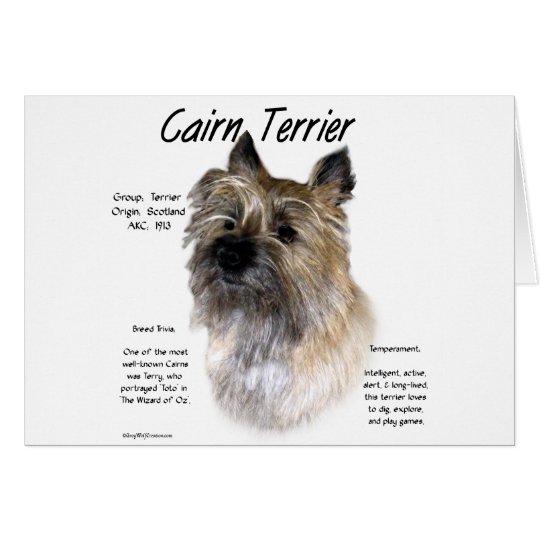 Tarjeta Diseño de la historia de Terrier de mojón