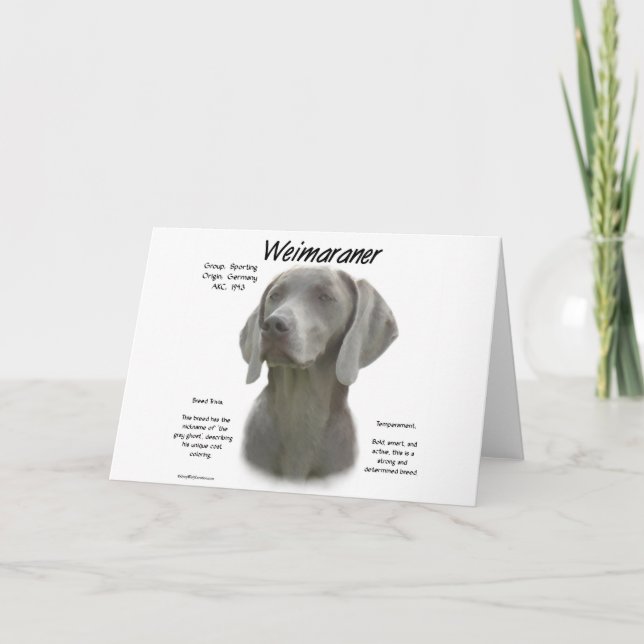 Tarjeta Diseño de la historia de Weimaraner (Anverso)