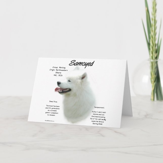 Tarjeta Diseño de la historia del samoyedo (Anverso)