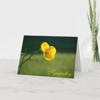 Tarjeta Diseño de mariposa simpática | Lo Siento Por Tu Pé