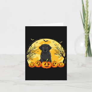 Tarjeta Disfraz de calabazas para hombre perro Labrador ne