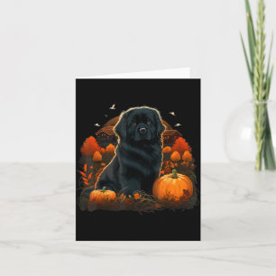 Tarjeta Disfraz de perro Newfie calabaza en perro Terranov