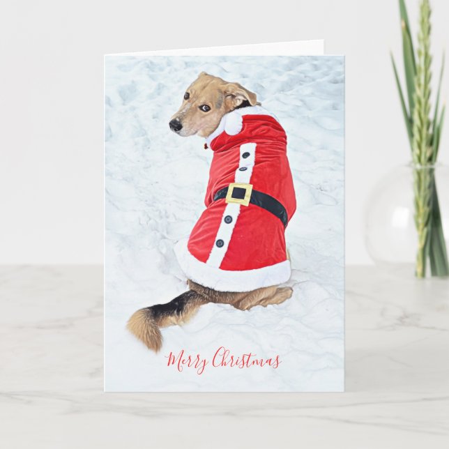 Tarjeta Disfraz rojo de Santa para perro lindo en Navidad  (Anverso)