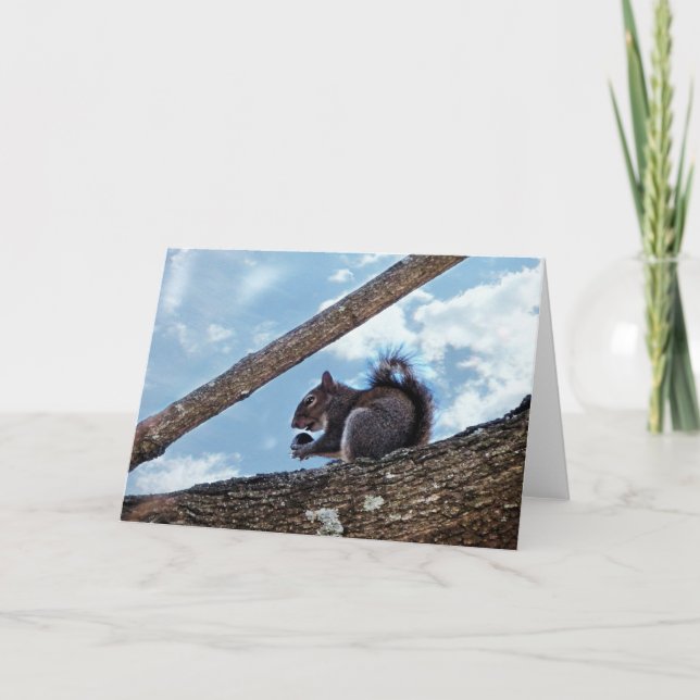 Tarjeta Disfrutando de una nuez (Anverso)