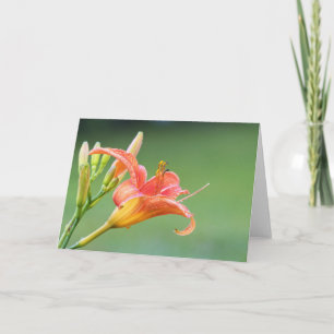 Tarjeta Ditch Lily