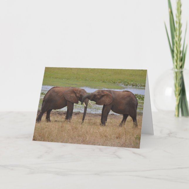 Tarjeta Diversión con los amigos (Anverso)