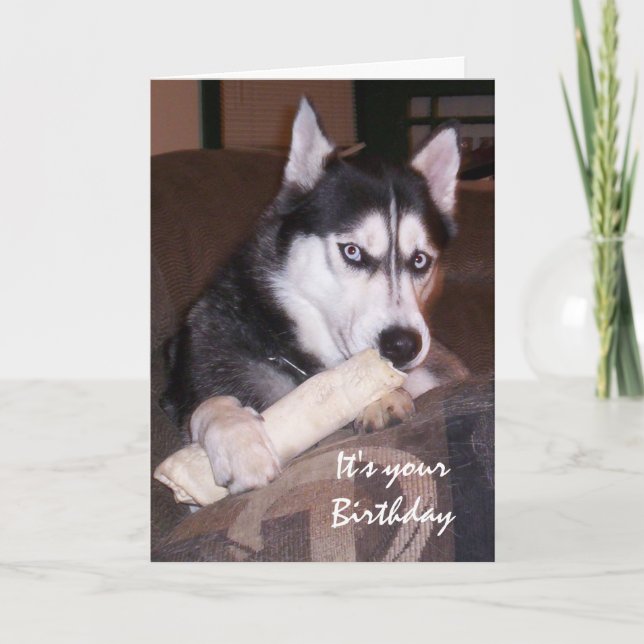 Tarjeta Diversión de cumpleaños Husky Rellenar el día (Anverso)
