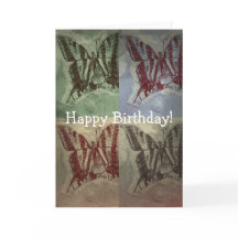 Diversión de mariposa, cumpleaños