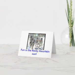 Tarjeta ¡Diversión en el sol de la montaña rocosa!