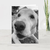 diversión y arriba cerca de Ed el viejo laboratori