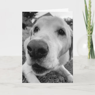 Tarjeta diversión y arriba cerca de Ed el viejo laboratori