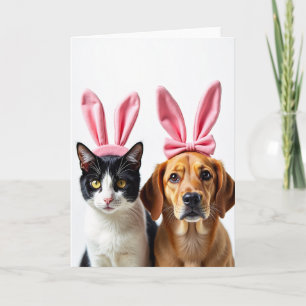 Tarjeta divertida de amigos gato y perro