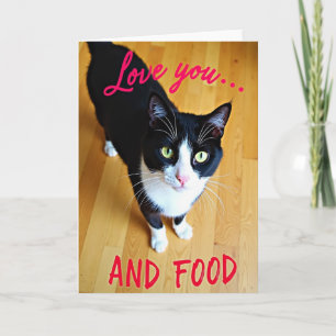 Tarjeta divertida de amor por comida para gatos
