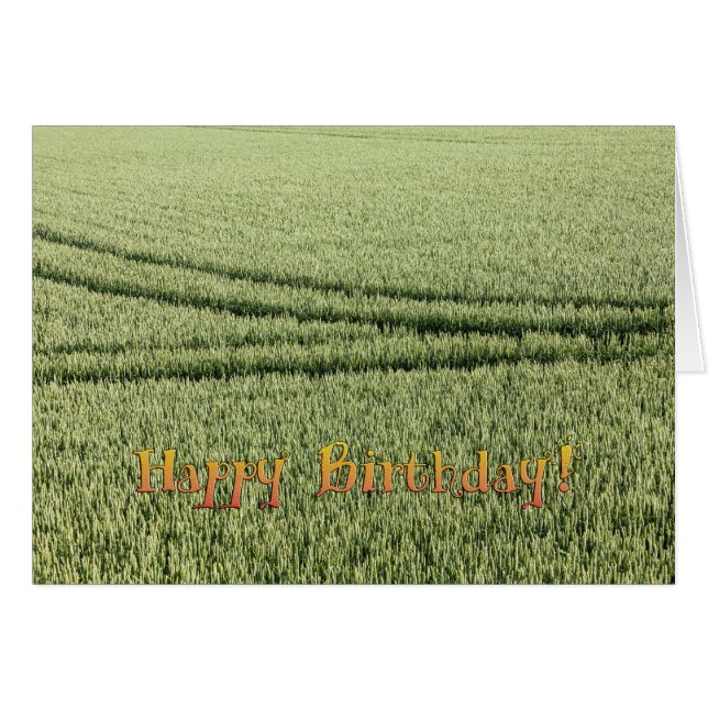 Tarjeta divertida de cumpleaños (Anverso (Horizontal))