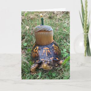 Tarjeta divertida de cumpleaños atrasado