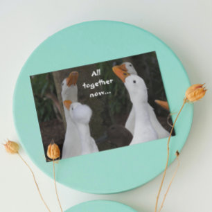 Tarjeta divertida de cumpleaños con foto de patos 