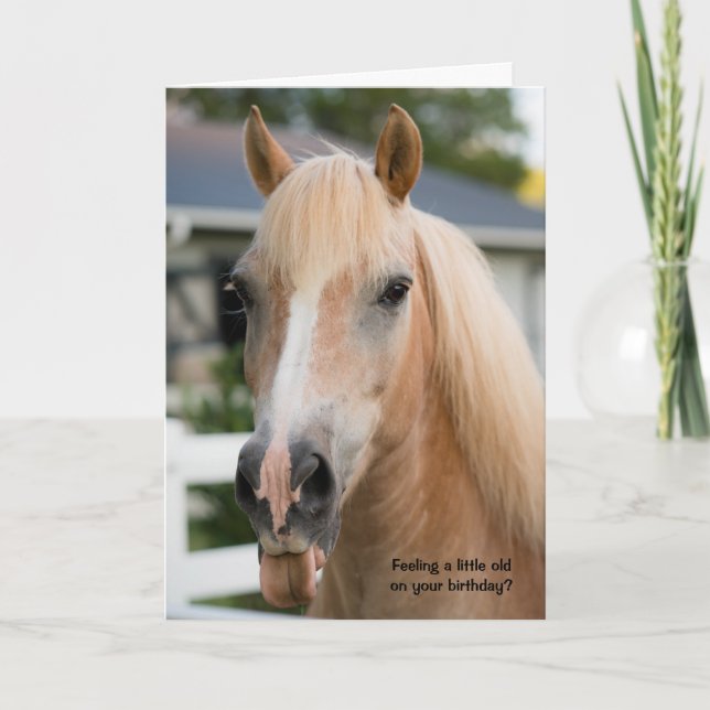 Tarjeta divertida de cumpleaños de caballo sobre e (Anverso)