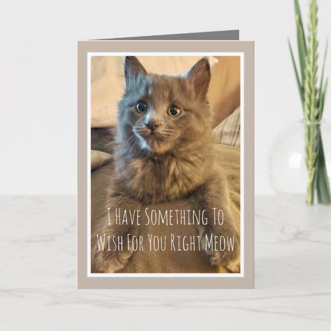 Tarjeta divertida de cumpleaños de gatito gris del (Anverso)