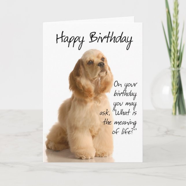Tarjeta divertida de cumpleaños para Cocker Spanie (Anverso)