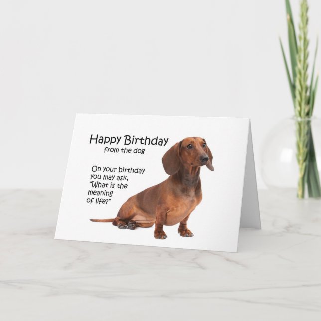 Tarjeta divertida de cumpleaños para Dachshund (Anverso)