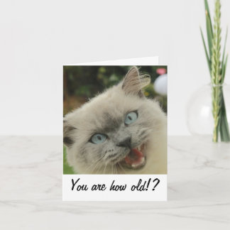 Tarjeta divertida de cumpleaños para gatos