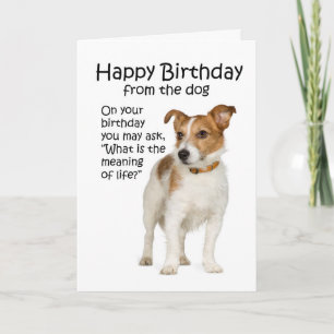 Tarjeta divertida de cumpleaños para Jack Russell 