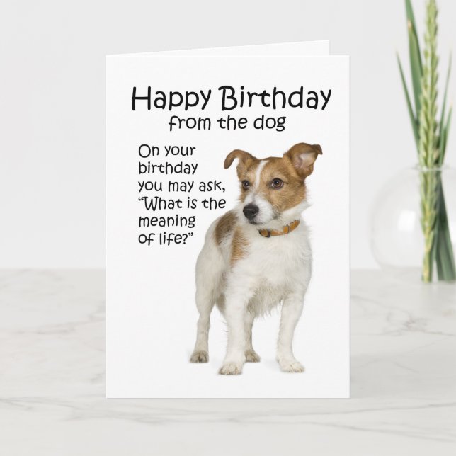 Tarjeta divertida de cumpleaños para Jack Russell  (Anverso)