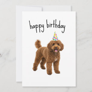 Tarjeta divertida de cumpleaños para perro - Regal